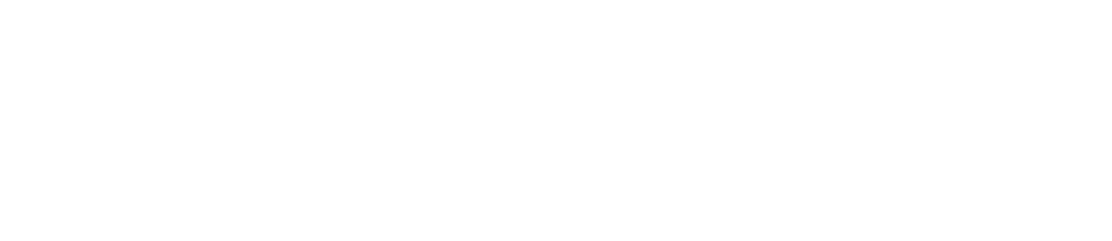 mind information logo