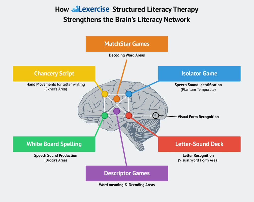 Brain Map-03 copy