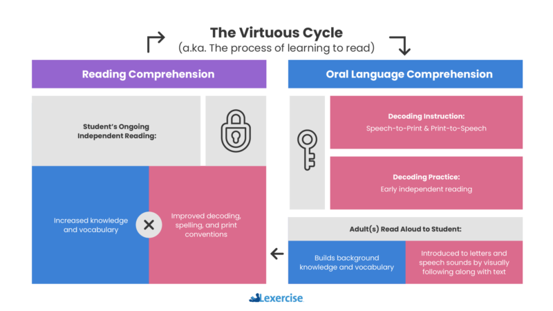 infographic depicting the virtuous cycle of the science of reading